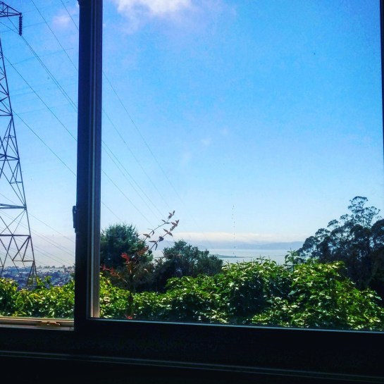 learn365project_cerrito1